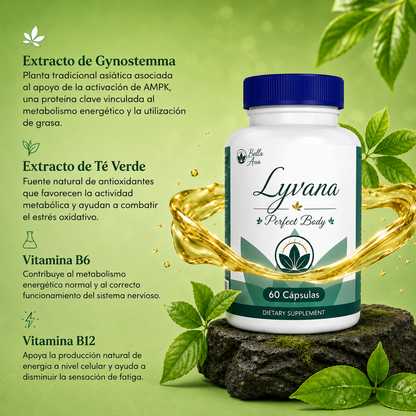 Capsulas Lyvana - Perfect Body